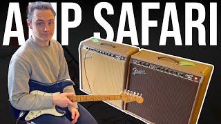 Come with me to buy a VINTAGE AMP! | Friday Fretworks