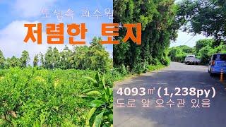 매물 : (NO.046) 도심 속의 저렴한 토지