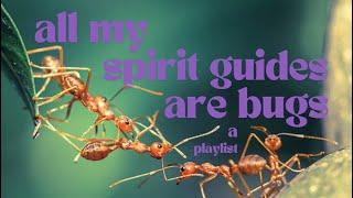 all my spirit guides are bugs: a playlist