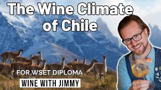 Exploring Chile’s Wine Climate and Geography  | WSET Level 4 (Diploma)