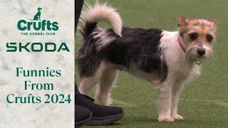 Crufts 2024 Bloopers 