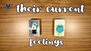  THEIR CURRENT  FEELINGS   Timeless Tarot Reading 