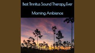 Best Tinnitus Sound Therapy Ever Morning Ambience