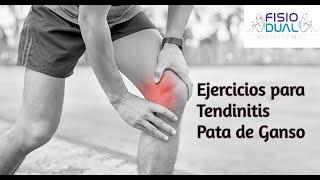 Ejercicios para TENDINITIS PATA DE GANSO