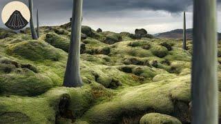 When Fungus Grew to the Size of Trees