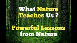 What Nature teaches us?|Powerful Lessons from nature| Life Changing Quotes