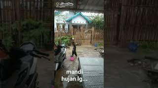 Tuyul mandi hujan