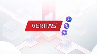 Veritas Data Risk Solution
