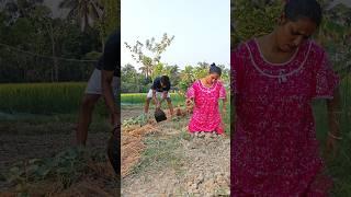 Tilling Troubles: Our Hilariously Uncoordinated Gardening Adventure!  #couplegoals #funny #shorts