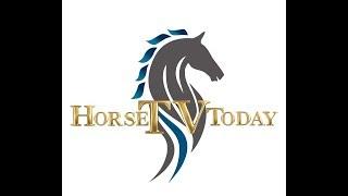 HORSETV GLOBAL IS LIVE!