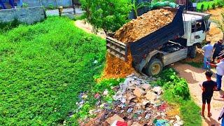 New Project !! Landfill up in Flooded areas!! Bulldozer D20A & Truck 5T Pushing Soil Into water