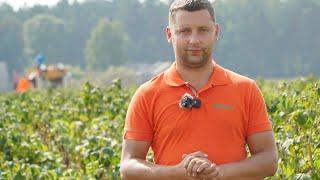 Spotkanie plantatorów malin w Kożuchówce. Tomasz Domański, Agrosimex