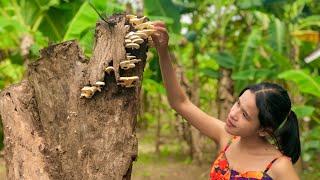 Find mushrooms to cook and eat/ cooking skill by LyTa Nature