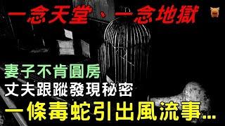 民間故事：妻子不肯圓房，丈夫跟蹤發現秘密，一條毒蛇引出風流事...#楓牛愛世界 #奇聞故事 #睡前故事 #鬼故事 #古代奇案