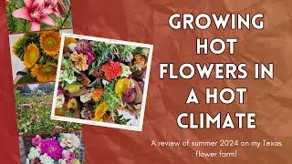 Growing HOT Flowers in a Hot Climate: A review of summer on my Texas flower farm