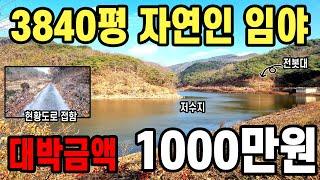 저수지앞 현황도로접한 임야가 말도안되는 금액 1000만원~주변 간섭 없는 나만의 자연인땅!!Korea Real Estate