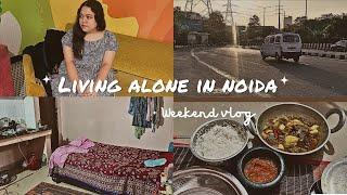 A weekend in my life | Living alone in India vlog | Managing groceries and  night shift