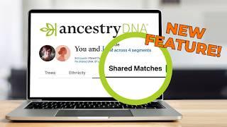 AncestryDNA’s New Match Feature Is a Game Changer!