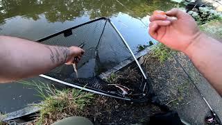  Perch, Pike & Bream Ultra Light Lure Fishing Canal Fishing UK 