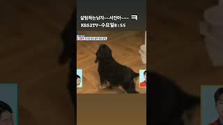 #박서진 #살림남#요리중#현실여동생#폭풍잔소리#날으는발#남매의웃음케미