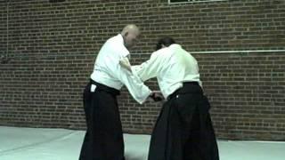 Shinbu AIkido Sampler III