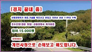 임야]15.000평 호수조망 경치 끝내줌 산림경영허가완료.가설건축물축조신고 완료, 산림경영사허가완료  완전 싸게 매도 평당 1만원 꼴