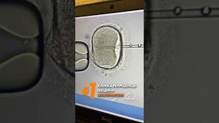 #1 клініка репродукції людини Альтернатива  Львів