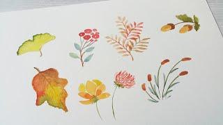 Autumn has come. Maple Leaves and Flower Painting. 가을이 왔다. 단풍잎과 꽃그림