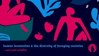 Cara Wall-Scheffler: Human Locomotion & The Diversity Of Foraging Societies