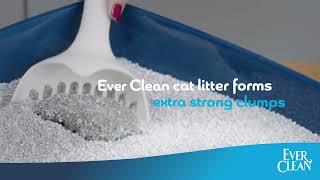 Discover Ever Clean at Pets at Home - Only £15*