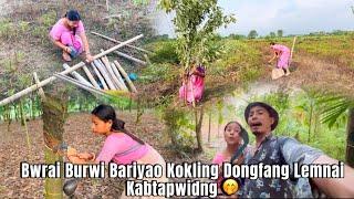 Bwrai Burwi Bariyao Kokling Dongfang Lemnai Kabtapwidwng  @dwimubasumatary6647