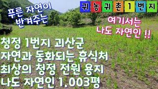 [매물번호: 1162] 청정 괴산군 자연과 동화되는 청정 전원 용지 1.003평  #주말쉼터 #괴산토지 #괴산임야 #괴산농가주택 #괴산농막 #괴산전원주택 #괴산지상권 #괴산부동산