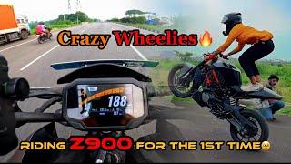 Full throttle on z9| Seat stander wheelies️| Durgapur| Training back workout