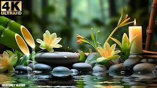 Beautiful Relaxing Music - Water Sounds, Deep Sleeping Music,  Relaxing Piano ~ SAKERA LOPER