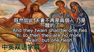 【圣经 Bible】[马可福音Mark Chapter  ] 中英聖經.中英字幕.Read the Bible. English & Chinese subtitles. 圣经故事. 讀聖經學英語.