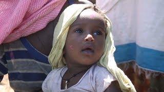 The Task Force For Global Health