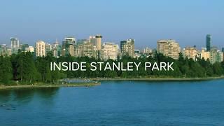 #VeryVancouver Moments: Stanley Park