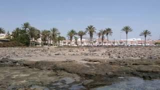 Playa De Las Americas - Beach