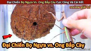 Đại Chiến Giữa Bọ Ngựa vs. Tổ Ong Bắp Cày Khổng Lồ Và Cái Kết Không Ngờ || Review Giải Trí Đời Sống