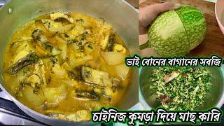 Bhai Boner bagan er Chinese kodu recipe ￼/চাইনিজ কুমড়া দিয়ে fish curry সাথে লাই পাতার chutney !!