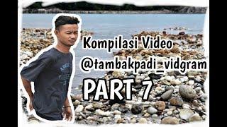 KOMPILASI VIDEO TAMBAK PADI VIDGRAM PART 7