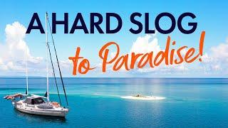 After weeks of stress welcome to paradise! (Derawan) | Sailing & Travel Ep 302