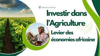 Investir dans l'Agriculture et l'Agro-industrie en Afrique : Opportunités et Rentabilité