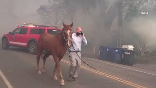 Mountain Fire Burns in Ventura County