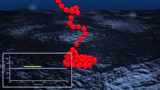 Atomic Force Microscopy - Scientific Visualization