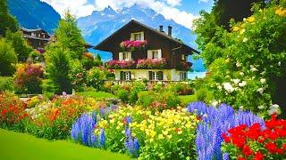 Heavenly SwitzerlandBeautiful Swiss Village Oberried am Brienzersee