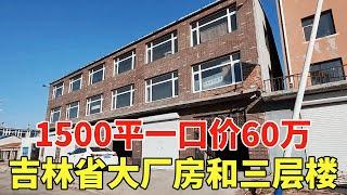 吉林省大厂房和三层楼，地处交通要道，1500平一口价60万！【鬼头看房】