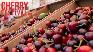 Cherry Festival 2019 Promo Video