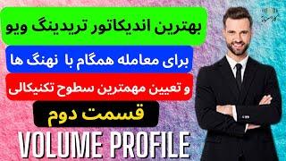 بهترین اندیکاتور تریدینگ ویو برای معامله همگام با نهنگ ها و تعیین مهمترین سطوح تکنیکالی | part2