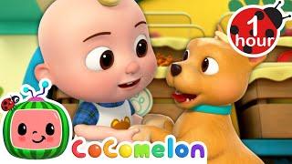 Say Please and Thank You at the Pet Store | CoComelon Nursery Rhymes & Kids Songs